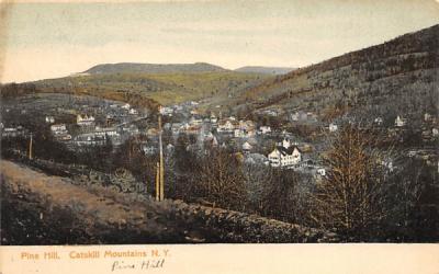 Catskill Mts Pine Hill, New York Postcard