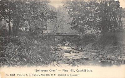 Johnson Glen Pine Hill, New York Postcard