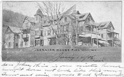 Cornish House Pine Hill, New York Postcard