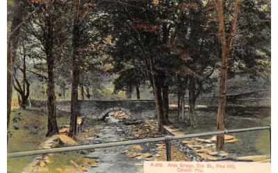 Arch Bridge Elm Street Pine Hill, New York Postcard