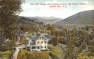 Pine Hill Village New York Postcard