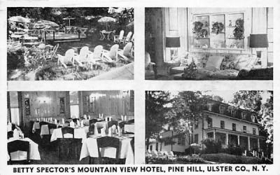 Betty Spectors Mountain View Hotel Pine Hill, New York Postcard