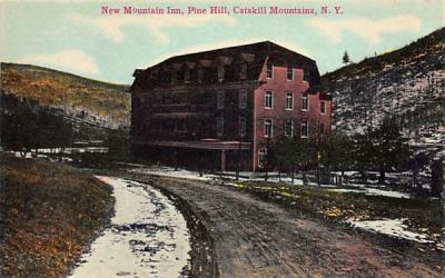 New Mountain Inn Pine Hill, New York Postcard