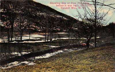 Pine Hill Lake New York Postcard