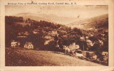 View of Pine Hill, New York Postcard