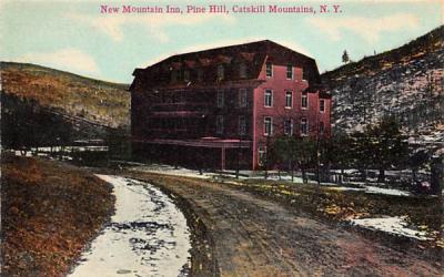 New Mountain Inn Pine Hill, New York Postcard