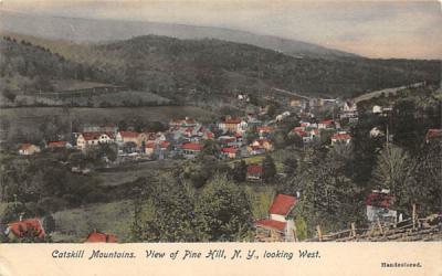 Catskill Mountains Pine Hill, New York Postcard