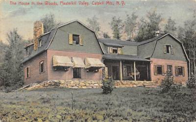 House in the Woods Plaaterkill, New York Postcard