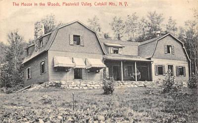 House in the Woods Plaaterkill, New York Postcard