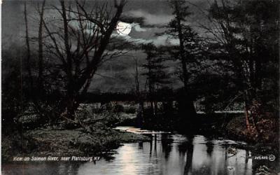 Salmon River Plattsburg, New York Postcard