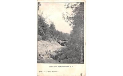 Natural Stone Bridge Pottersville, New York Postcard