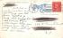 Post Office Port Jervis, New York Postcard 1