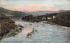 Junction of Esopus and Stony Clove Creeks Phoenicia, New York Postcard