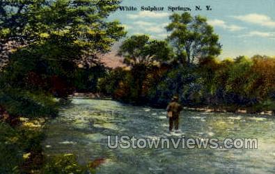 White Sulphur Springs, New York, NY Postcard