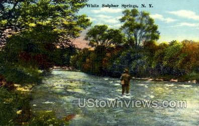 White Sulphur Springs, New York, NY Postcard