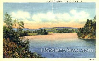 Goodyear lake - Oneonta, New York NY Postcard