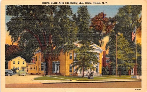 Rome Club & Historic Elm Tree New York Postcard