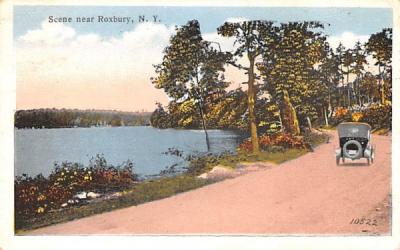 Misc Roxbury, New York Postcard
