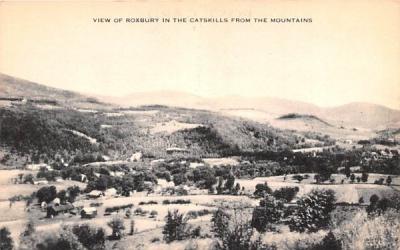 Catskill Mountains Roxbury, New York Postcard