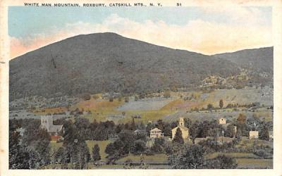 White Man Mountain Roxbury, New York Postcard