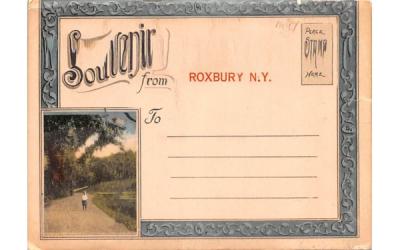 Souvenir from Roxbury, New York Postcard