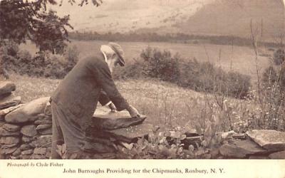 John Burroughs Providing for the Chipmunks Roxbury, New York Postcard