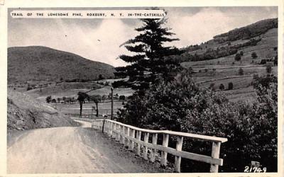 Trail of the Lonesome Pine Roxbury, New York Postcard
