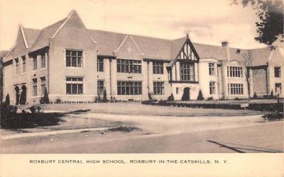 Roxbury Central High School New York Postcard