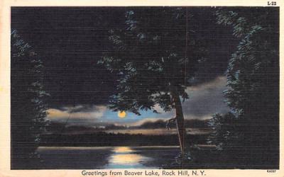 Greetings From Rock Hill, New York Postcard