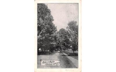 Under the Maples Rockland, New York Postcard