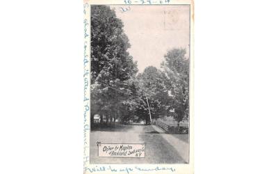 Under the Maples Rockland, New York Postcard