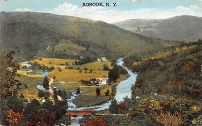 Bird's Eye View Roscoe, New York Postcard
