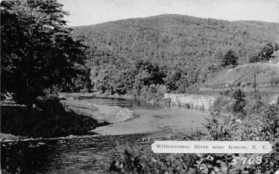 Willoweemoc River Roscoe, New York Postcard