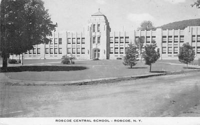 Roscoe Central School New York Postcard