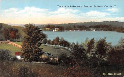Tennanah Lake Roscoe, New York Postcard