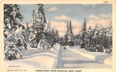 Greetings From Roscoe, New York Postcard