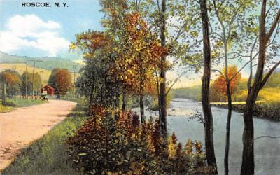 Water View Roscoe, New York Postcard