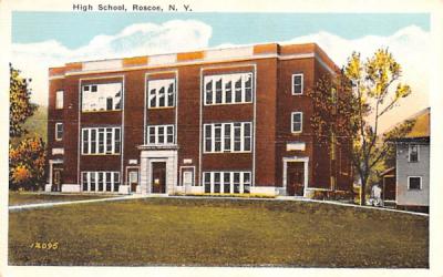 High School Roscoe, New York Postcard