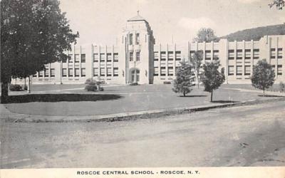 Roscoe Central School New York Postcard