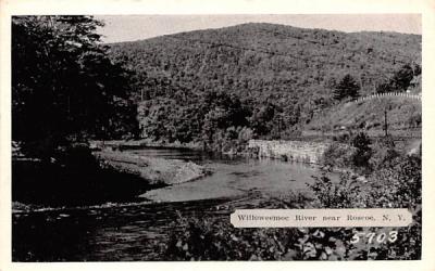 Willoweemoc River Roscoe, New York Postcard