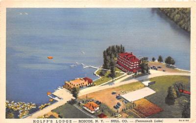 Holpp's Lodge Roscoe, New York Postcard