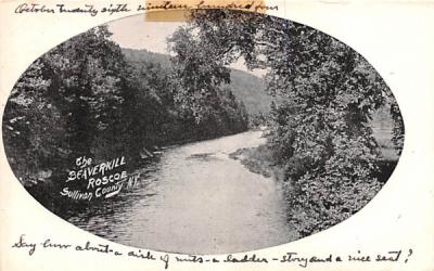 The Beaverkill Roscoe, New York Postcard