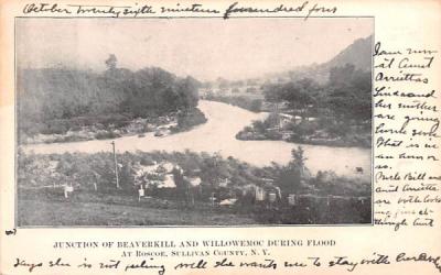 Junction of Beaverkill & Willowemoc During Flood Roscoe, New York Postcard