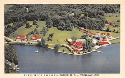 Rieping's Lodge Roscoe, New York Postcard