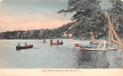 Lake Wood Roscoe, New York Postcard