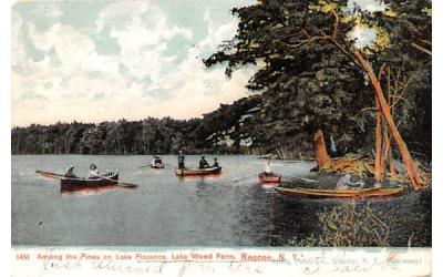 Lake Florence Roscoe, New York Postcard