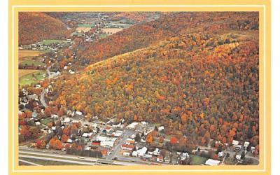 The Valley Roscoe, New York Postcard