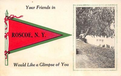 Your Friends in Roscoe, New York Postcard