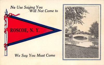 No Use Saying You Will not Come To Roscoe, New York Postcard