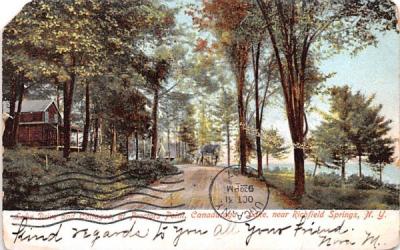 Lake Drive & Cottages Richfield Springs, New York Postcard